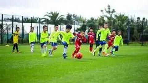 678体育 资讯 131501 nvs