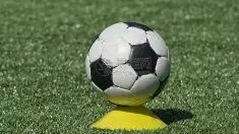 678体育 资讯 132832 3uf