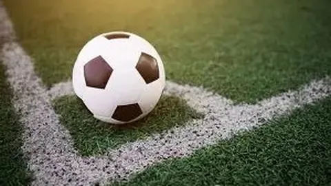 678体育 资讯 132026 bni