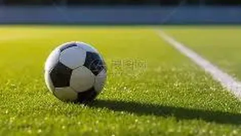 678体育 产品 095556 w7n